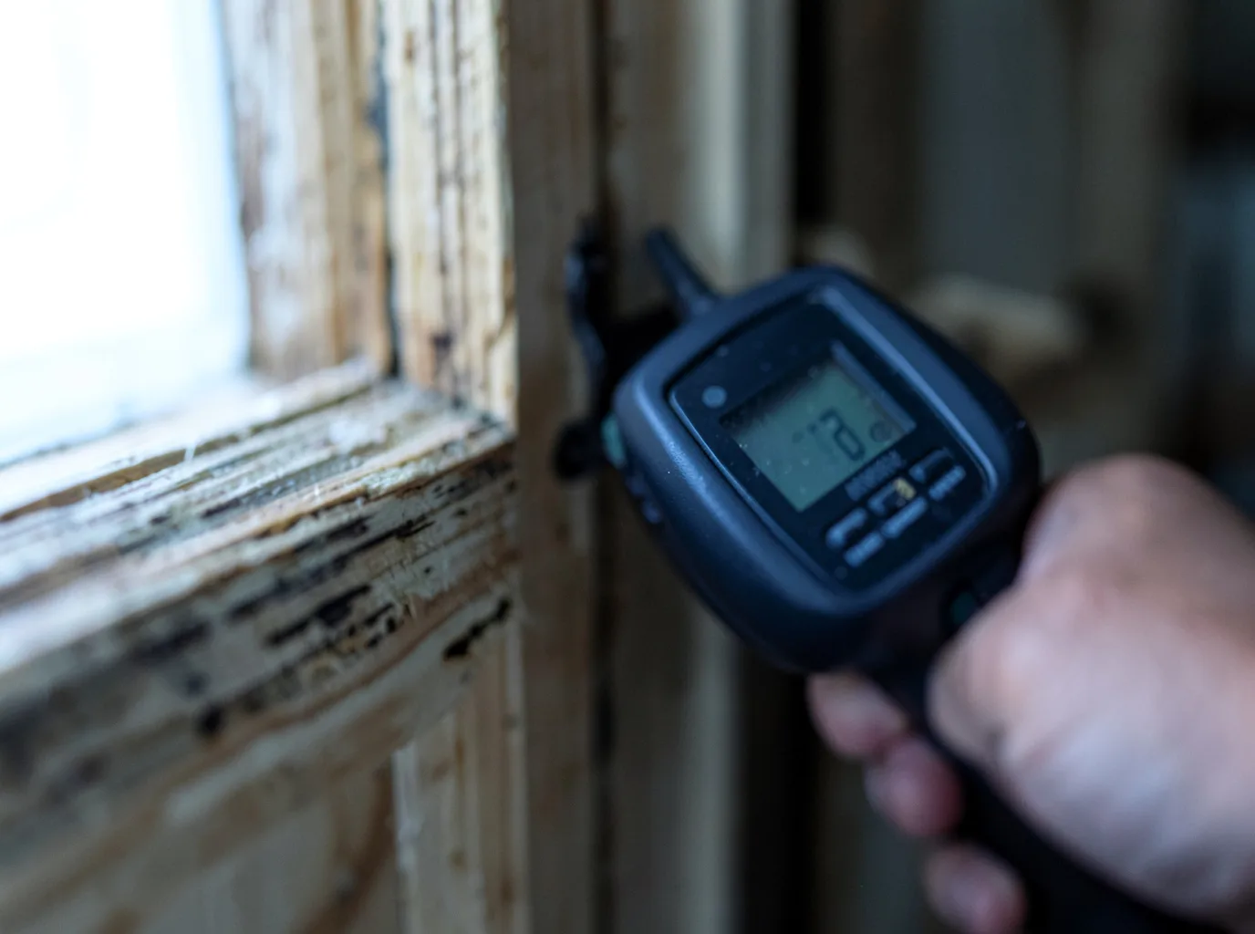 Moisture Inspection And Documentation in Allison, TX